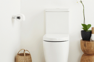 Budget Plumbing Centre toilet suite