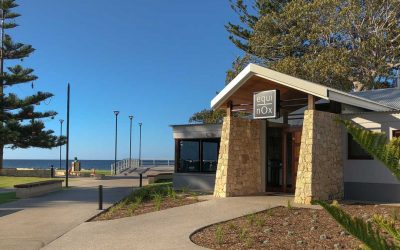 New Cook In The Kitchen