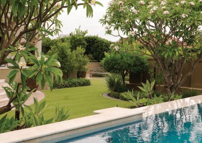 Tim Davies Landscaping Project 1